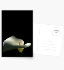 I Want To Be Alone Postcards