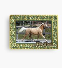 Paso Fino Horse Christmas Card Canvas Print