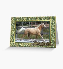 Paso Fino Horse Christmas Card Greeting Card