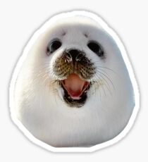 Seal Sticker