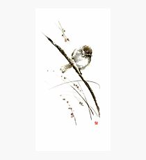 Little bird on branch watercolor original ink painting artwork Photographic Print