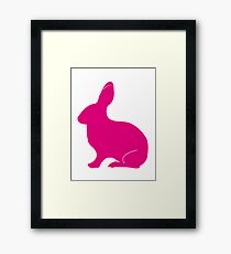 Bunny Framed Print