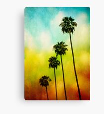 4 Palms Canvas Print