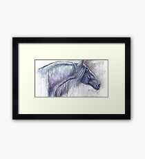 Curious Framed Print