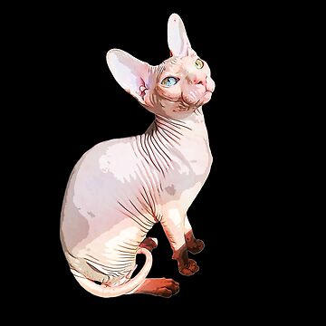 FINGER Clothes for a Sphynx Cat Sphynx Cat Clothes Pet -  UK