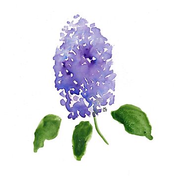 loose watercolor lilacs