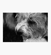 Brock Photographic Print