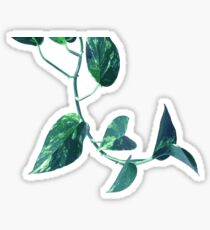 Projection & Emotion #redbubble #arprint #home #style #fashion #Tech Sticker
