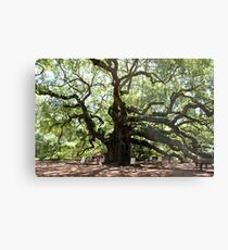 Angel Oak Tree Metal Print