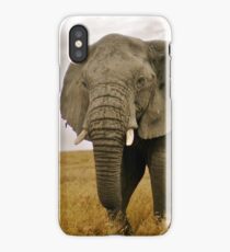 Serengeti Elephant iPhone Case/Skin