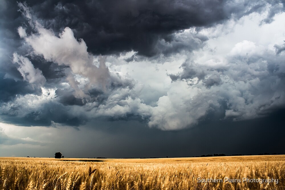 "Cotton Candy - Storm Clouds Gather Over Golden Wheat Field in Kansas ...