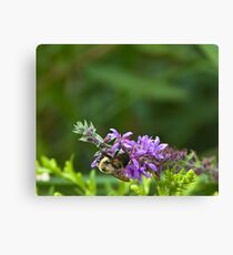 Bee-autiful Shopper. Canvas Print