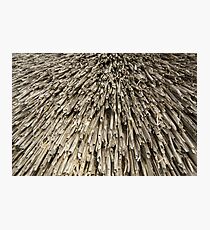 Thatch Photographic Print