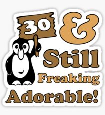 Cute 30th Birthday Gift For Women Sticker