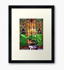 Doors & more... Framed Print
