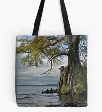 Storm break Tote Bag