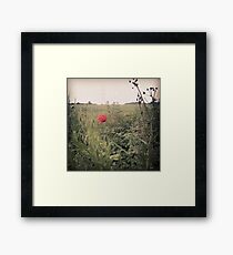 Unique Framed Print