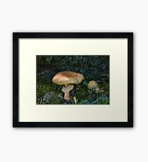 Big & Little Framed Print