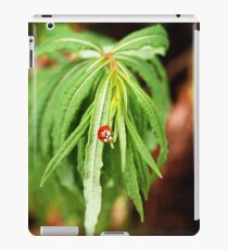The Lonely Ladybug iPad Case/Skin