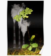 Ecology Poster