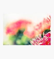 I painted by Lens...Got Featured Work:) Photographic Print