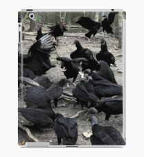 Vultures iPad Case/Skin