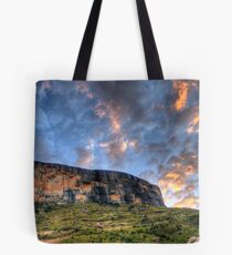 Tiger Falls Mountain Tote Bag