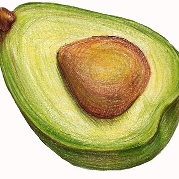Artwork thumbnail, Avocado. color pencil by lisenok