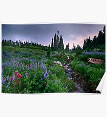 Dead Horse Creek Dawn Poster
