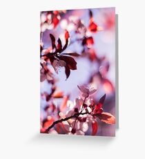 Stay like this forever Greeting Card