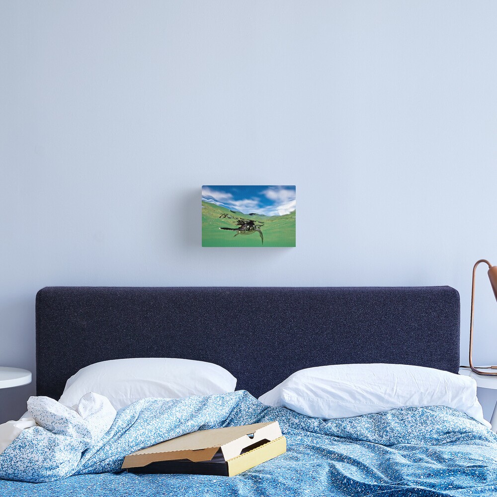What are you looking at? Canvas Print