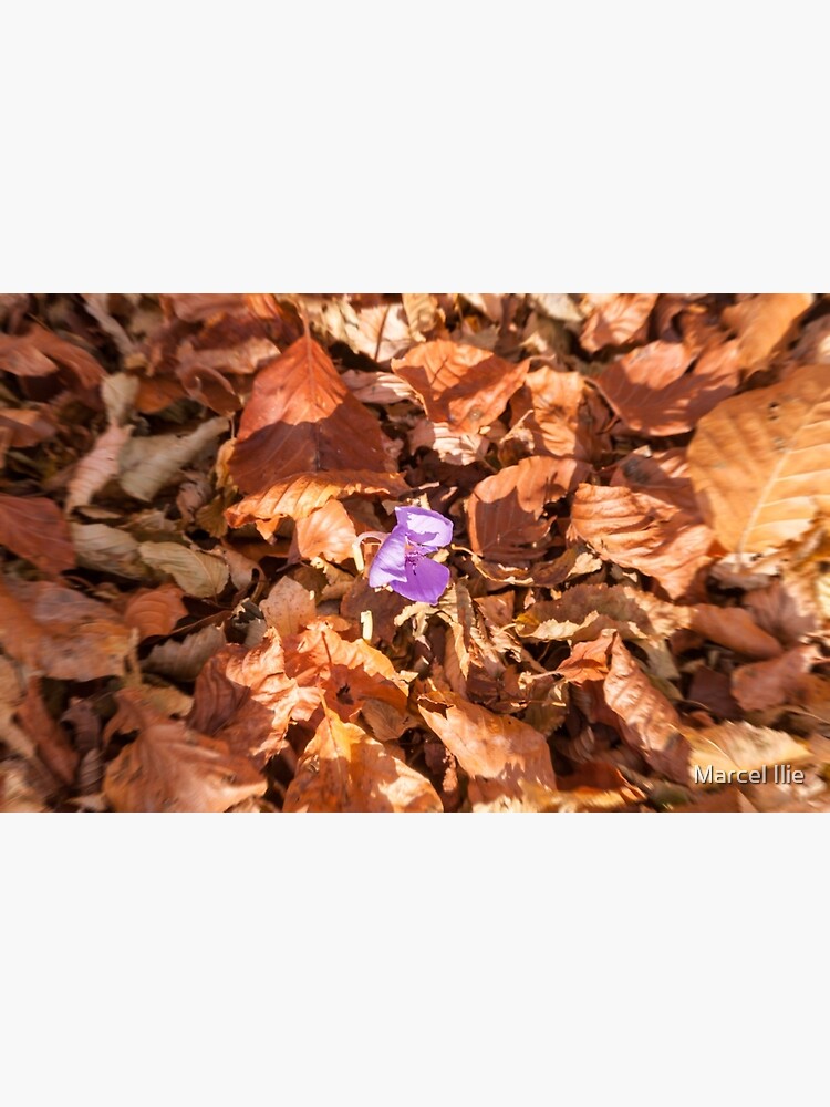 The end of autumn by imaruseru
