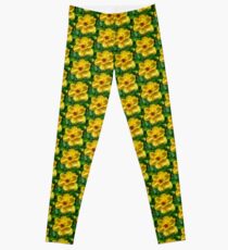 Daffodil Leggings