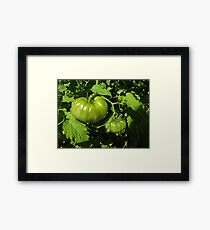 Fried Green Tomatoes Framed Print