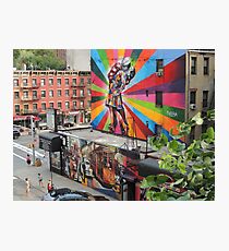 mural Photographic Print