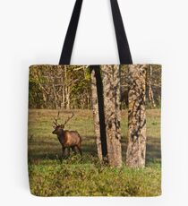 Bull Elk in Ponca Tote Bag