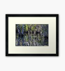 Wetlands Framed Print