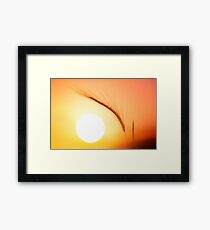 Sunset Guardian Framed Print