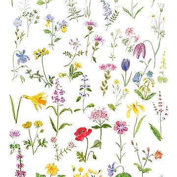 Artwork thumbnail, botanical colorful countryside wildflowers watercolor painting by ColorandColor