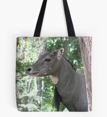 Majestic Male Nilgai Tote Bag