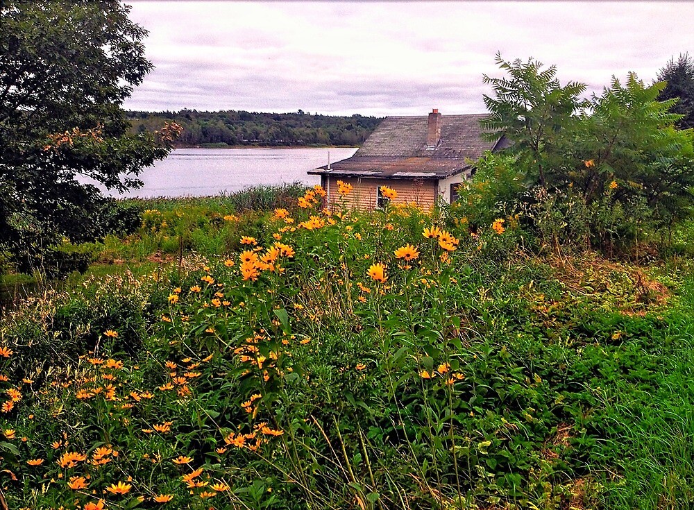 "Stockton Springs, Maine" by fauselr Redbubble