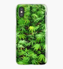 Marijuana (Weed) iPhone Case