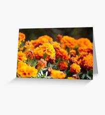 VIda En El JardIn Greeting Card