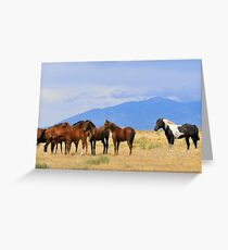 Always on Duty Greeting Card