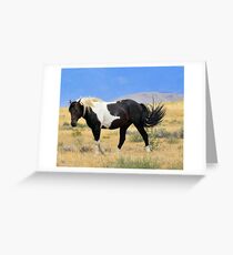 On Patrol Greeting Card