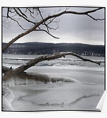 in the middle of winter Poster