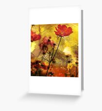 Cosmea (Abstract Red) Greeting Card