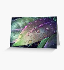 Raindrops on a leaf Greeting Card