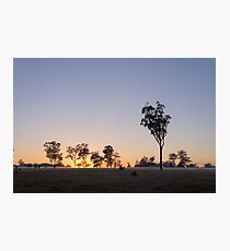 Susan River Sunrise Photographic Print