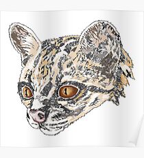 Ocelot Poster